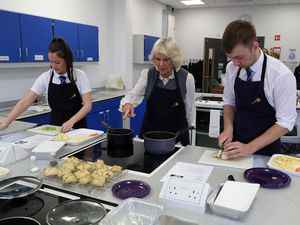 Supporting image for story