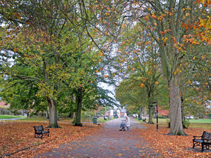 Supporting image for story: Stourbridge community event is cancelled due to poor weather