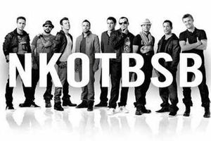 Supporting image for story: New Kids and Backstreet Boys to play Birmingham