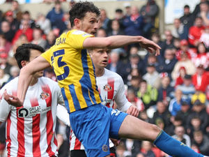 Supporting image for story: Shrewsbury defender Tom Flanagan omitted from Northern Ireland squad