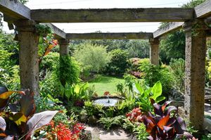 John Massey's garden in Kingswinford, West Midlands.