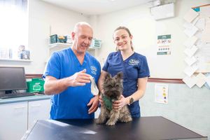 Pickle with vet Craig and veterinary nurse Nicki, who worked together to remove the sock from the pet's stomach.
