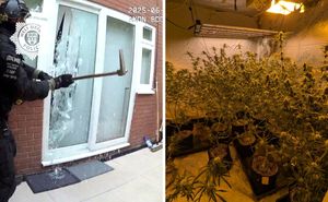 Police said more than £600,000 worth of drugs were seized during the operation.