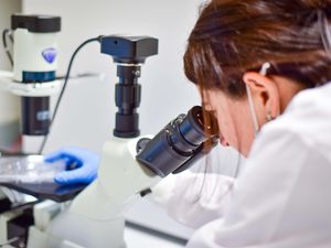 A woman looking into a microscope