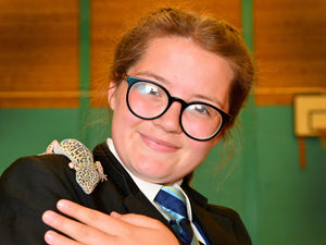 Supporting image for story: More than 200 pupils enjoy animal magic with range of pets 