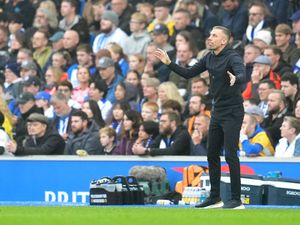 Supporting image for story: We’ll definitely be fine – Gary O’Neil buoyed by late Wolves rally at Brighton