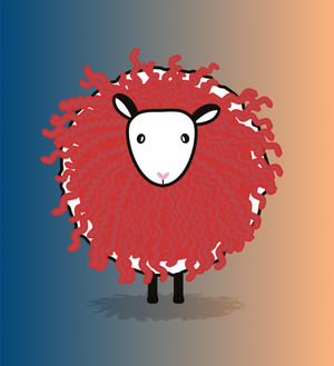 Our woolly mascot, Merina.