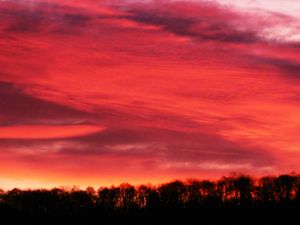 Supporting image for story: Photographer captures stunning red morning sky over Shropshire in reminder 'spring isn't too far away'