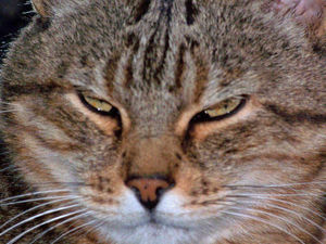 Supporting image for story: Peter Rhodes: Life without maths