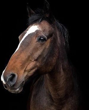 Katie’s competition winning photo