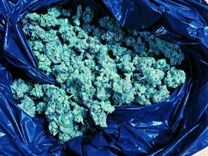 Supporting image for story: Cannabis seized after Audi stopped by police