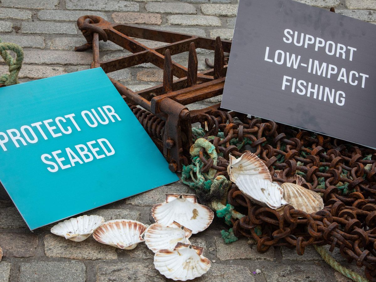 Conservation groups hit out at ‘unfulfilled promises’ over Scotland’s seabed