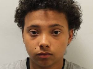 Supporting image for story: Birmingham resident pleads guilty to attempted arson after flag burned at protest