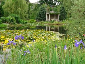Supporting image for story: Spectacular Shropshire gardens set to open gates to visitors for fund