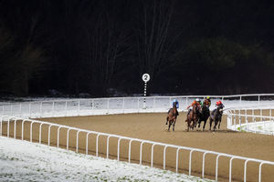 Saffron Dandy ridden by Sean Levey on their way to winning the Bet 10 Get 40 With BetMGM Handicap at Wolverhampton Racecourse. Picture date: Tuesday January 6, 2026. PA Photo. Photo credit should read: David Davies/PA Wire.RESTRICTIONS: Use subject to restrictions. Editorial use only, no commercial use without prior consent from rights holder.