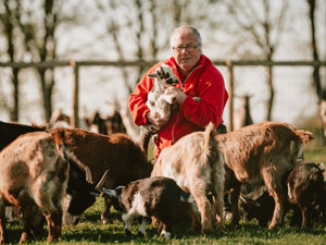 Supporting image for story: Coronavirus: Appeal launched to help feed animals at popular farm near Bridgnorth hit by flooding and coronavirus