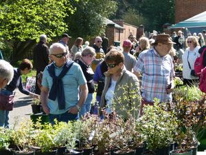 Weston Park Plant Fair