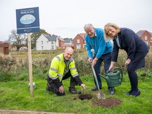 Supporting image for story: Volunteer hero, 89, helps plant roses at new community