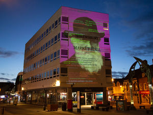 Supporting image for story: Charles Darwin up in lights in stunning Shrewsbury display