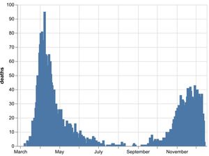 Supporting image for story: Further 51 deaths in region's hospitals and care homes in total
