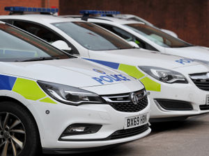 Supporting image for story: Two men arrested at drugs farm where 2,000 cannabis plants were discovered are released with no further action