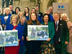 Supporting image for story: Former MP expresses delight at passing of pet abduction bill