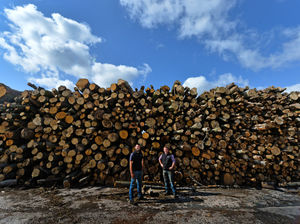 Supporting image for story: Bobbington business Black Country Firewood keeping home fires burning