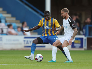 Supporting image for story: Shrewsbury Town's Aiden O'Brien and Julien Da Costa edging closer to returns