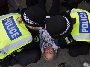 Supporting image for story: Police arrest almost 500 people over Palestine Action support