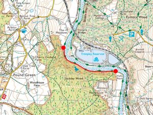 Supporting image for story: Popular footpath closed off after landslip near banks of River Severn