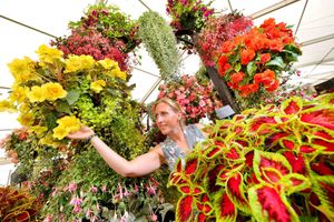 Shrewsbury’s famous flower show is world renowned