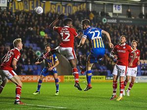 Supporting image for story: AFC Wimbledon v Shrewsbury: Waterfall willing to give all to save his boss