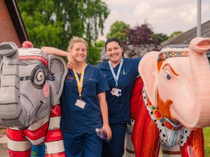 Supporting image for story: Elephants' final march - critical auction to support hospice amidst severe funding crisis
