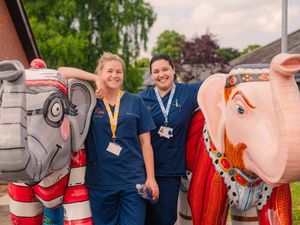 Supporting image for story: Elephants' final march - critical auction to support hospice amidst severe funding crisis