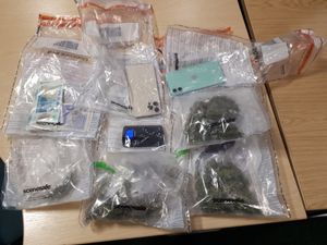 Supporting image for story: Cannabis smell leads to drug suspect's arrest