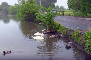 The nature reserve is close to a busy road