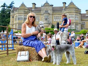 Supporting image for story: Thousands take part in Ludlow dog day - in pictures and video