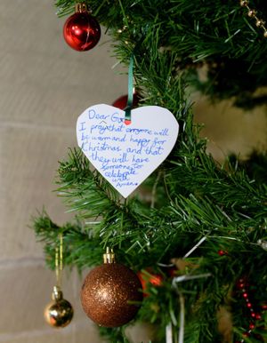 Supporting image for story: Festive welcome at Colemere this weekend