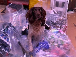 Supporting image for story: More than 60,000 illegal cigarettes seized as council crackdown on illicit tobacco products