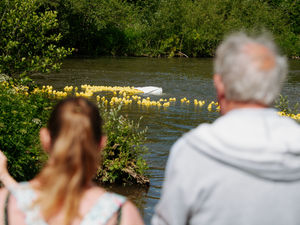 Supporting image for story: 'It's a sad day' - Conspiracy theorists try to pour cold water on town's beloved traditional duck race