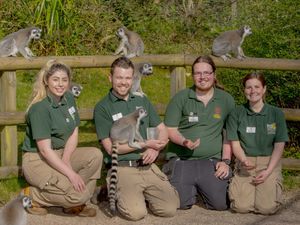 Supporting image for story: Animal magic as four join up for training at Dudley Zoo