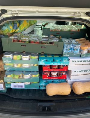 Some of the collected food