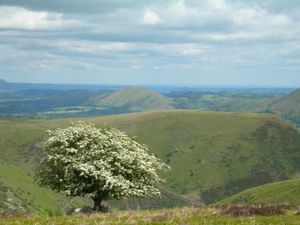 Supporting image for story: Protection for wildlife