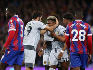 Supporting image for story: Crystal Palace 2 Wolves 1 - Report