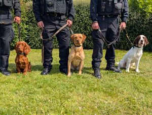 (From L-R) PD Maui, PD Bella and PD Hugo