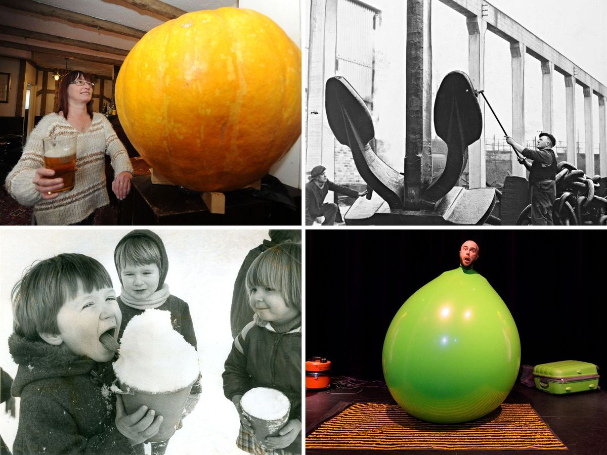 From the archives: 21 quirky and giant sights from across the Black Country and Staffordshire to make you smile