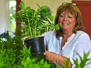 Supporting image for story: Watch: Shropshire gardeners flock to annual event to help boost animal rescue centre