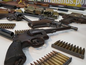 Supporting image for story: Nearly 250 weapons handed into police during firearms surrender