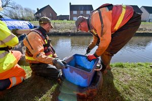 Back where they belong - the final stage of the rescue