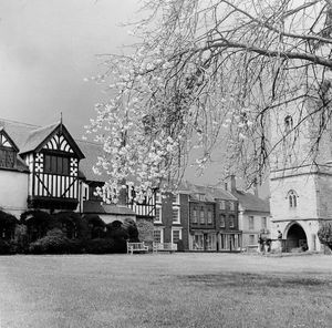 Spring blossom in full bloom beside Holy Trinity Church, Much Wenlock, April 1970.